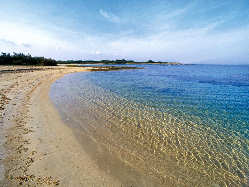 Spiaggia torre Guaceto